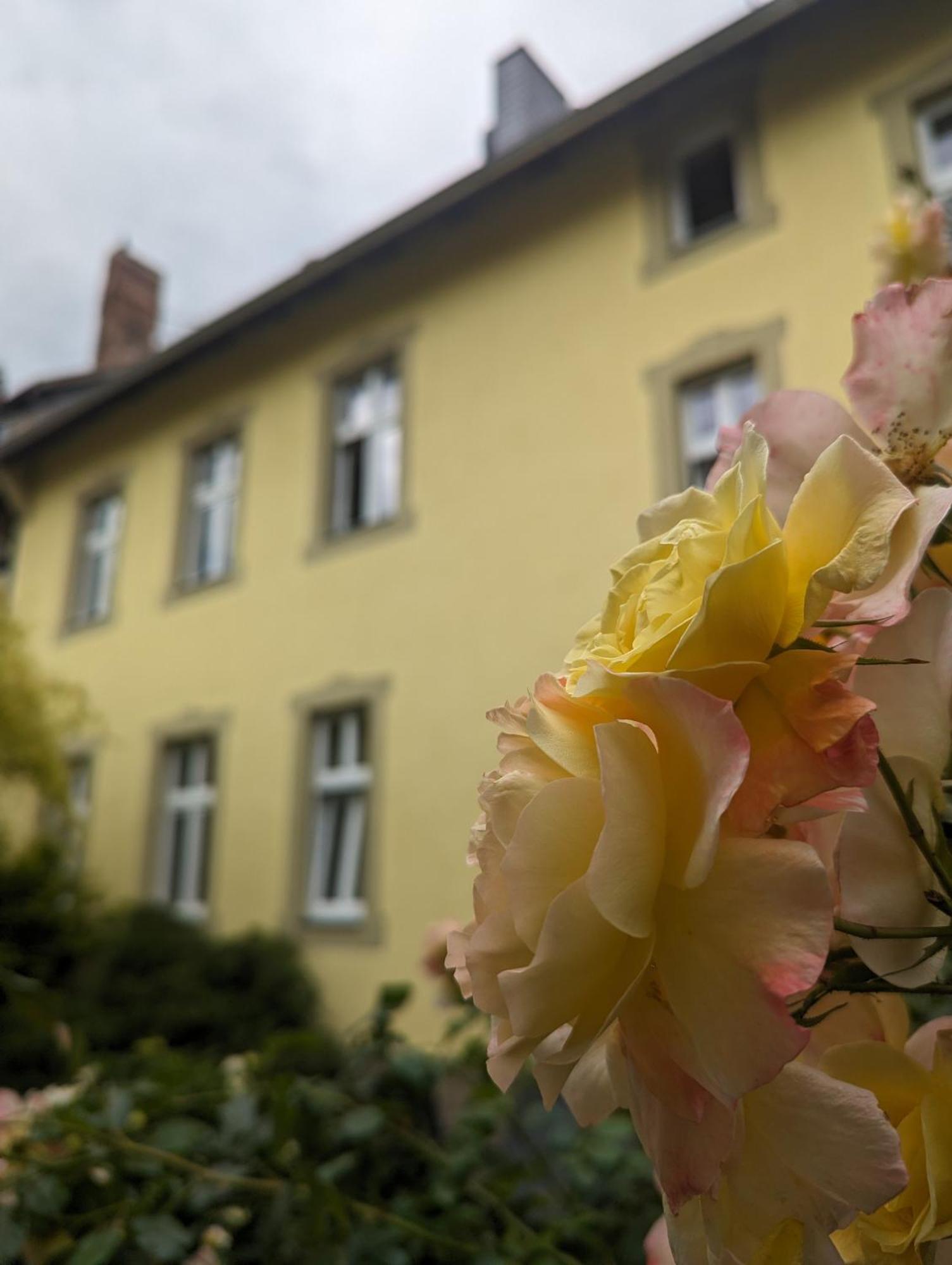 Atelier Wolkenschloss Вернигероде Экстерьер фото